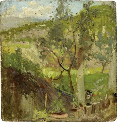 Colline Fiorentine