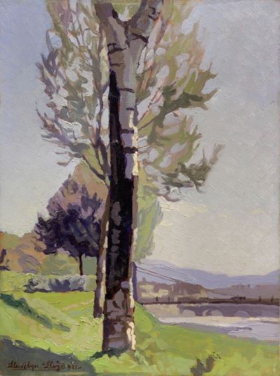 Pioppi Sull'arno. le Cascine