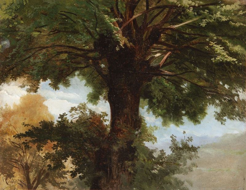 Nicola Palizzi - La Grande Quercia