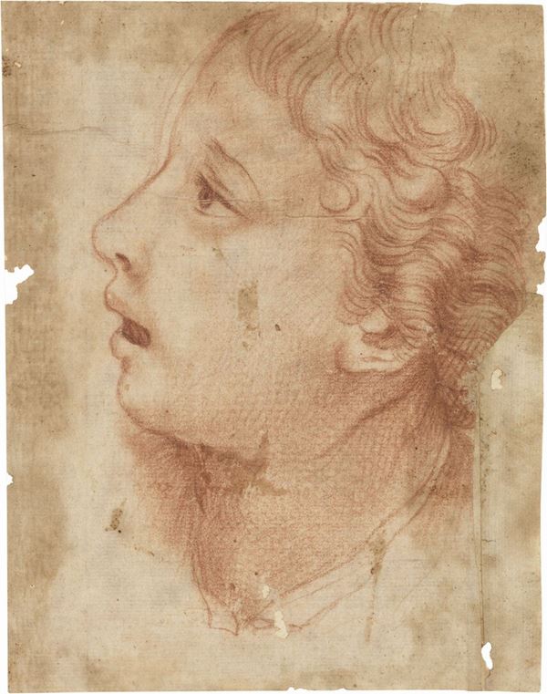 Scuola lombarda del XVI secolo : Profilo di giovinetto  - Sanguigna su carta - Asta IMPORTANTI DIPINTI ANTICHI - I - Casa d'aste Farsettiarte