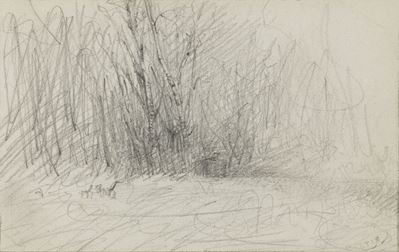 Studio di Bosco