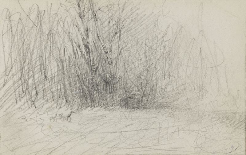 Giuseppe De Nittis - Studio di Bosco
