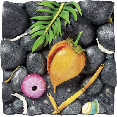 Cocco sulla Spiaggia Nera