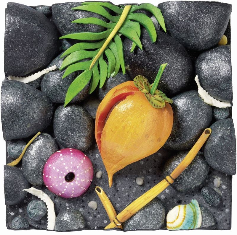 Piero Gilardi - Cocco sulla Spiaggia Nera