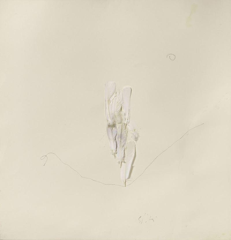 Pier Paolo Calzolari - Senza Titolo