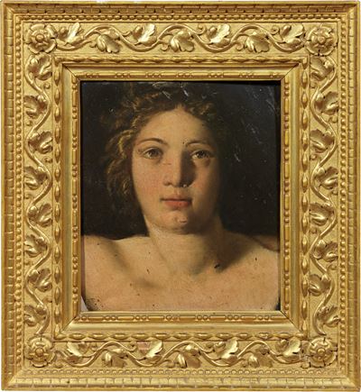 Testa di Fanciullo