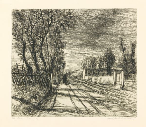 Lino Bianchi Barriviera - Strada al tramonto