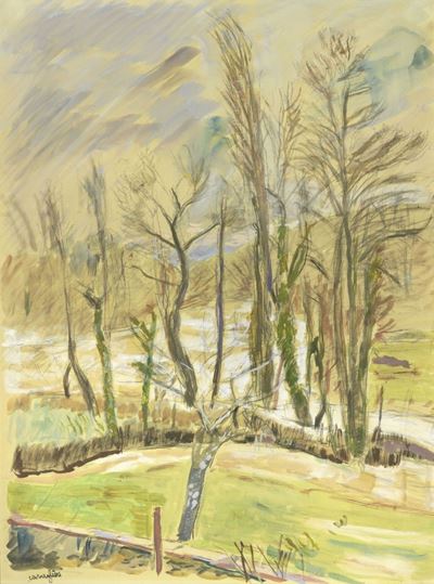 Alberi Attorno allo Stagno di Peyloubère