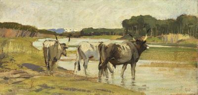 Pascolo sul Fiume