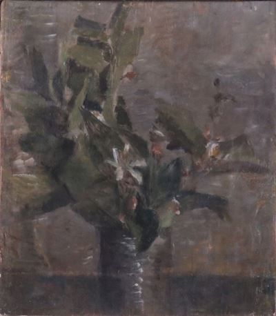 Natura Morta