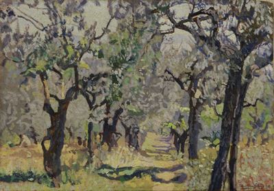 Il Viale Nell'uliveta (mattino)