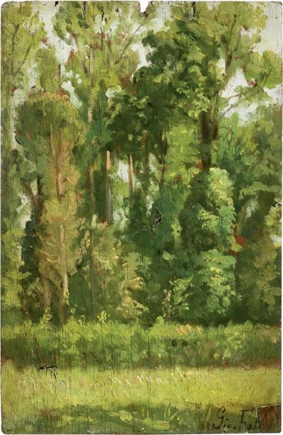 Bosco (alle Cascine)