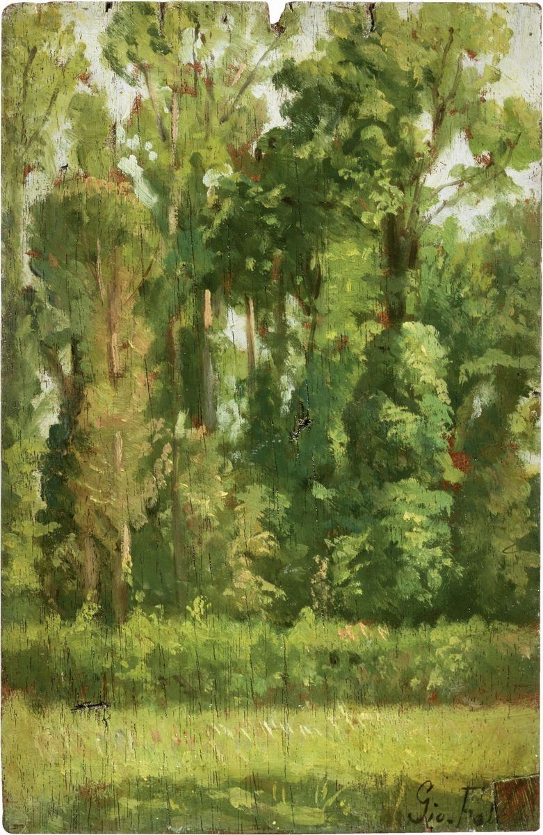 Giovanni Fattori - Bosco (alle Cascine)