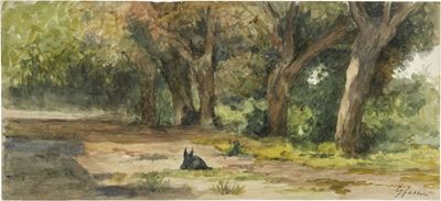 Al Sole nel Bosco