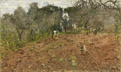 Nell'orto