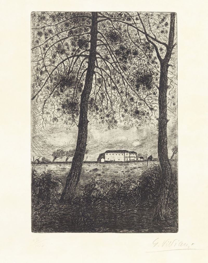 Giuseppe Viviani - Pini con Casolare