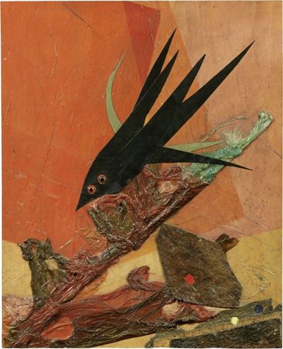 Volo