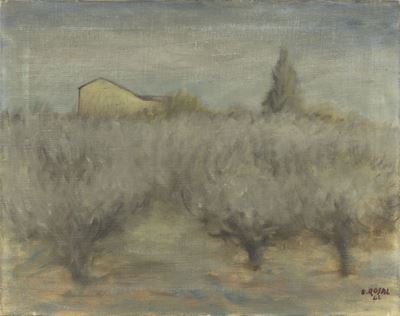 Paesaggio