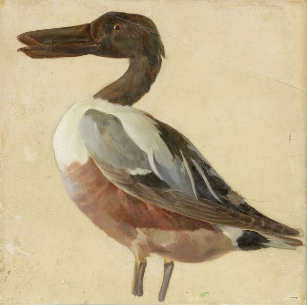 Eugenio Cecconi - Uccello acquatico