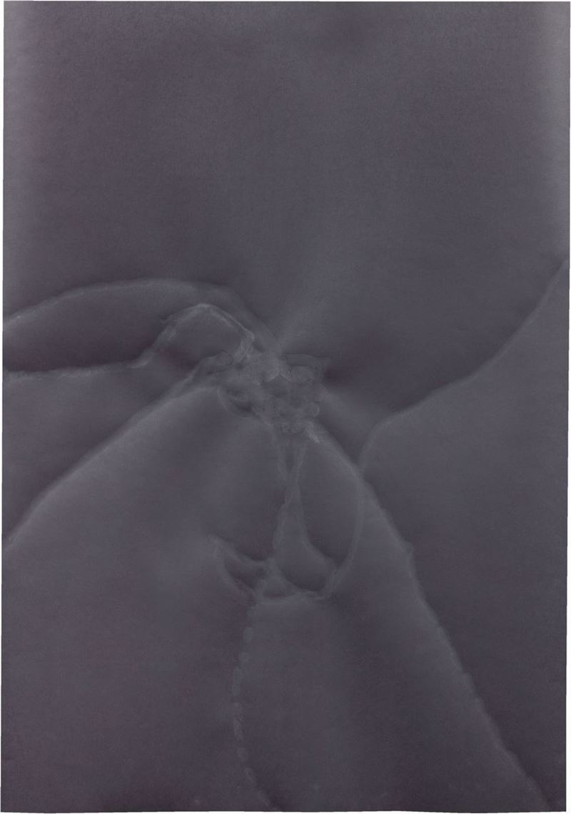 Emanuele Becheri - Senza titolo (Carta nera da fondale fotografico, tracciati di chiocciole)