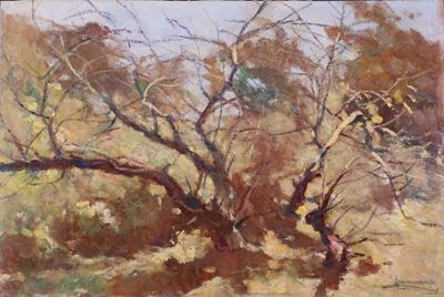 Albero