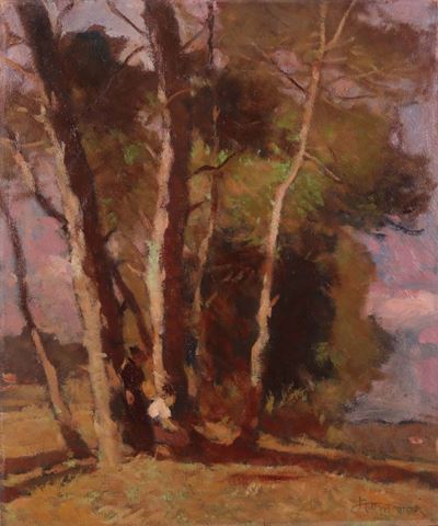 Riposo All'ombra delle Tamerici