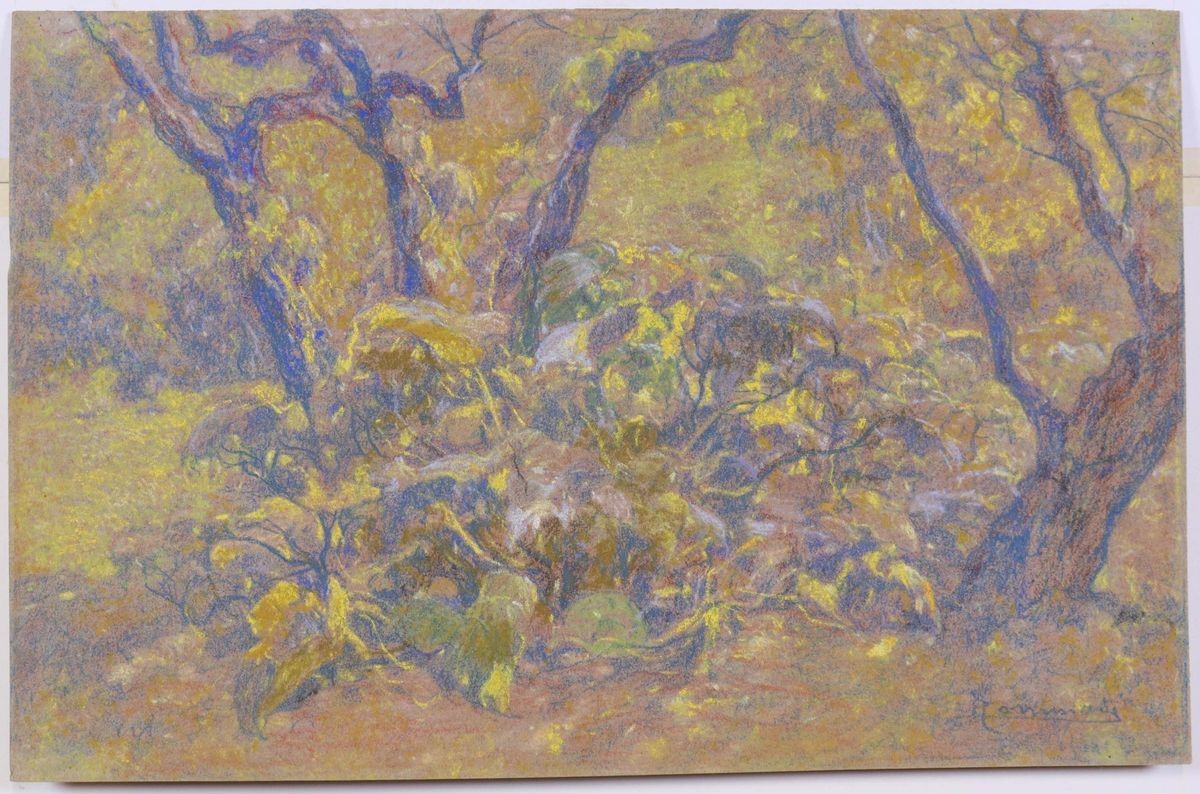 Ludovico Tommasi - Cinque Pastelli