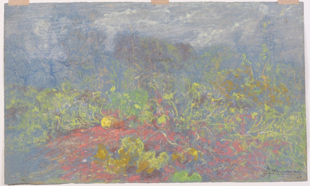 Ludovico Tommasi - Cinque Pastelli