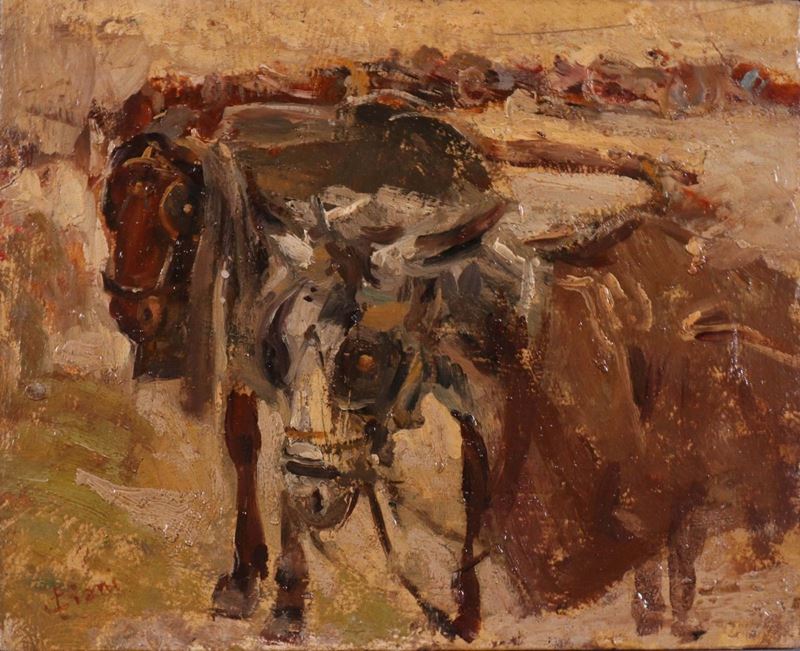 Cesare Ciani - Asinelli Bardati