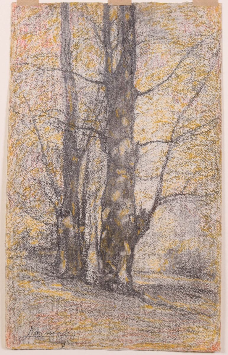 Ludovico Tommasi - Cinque Disegni