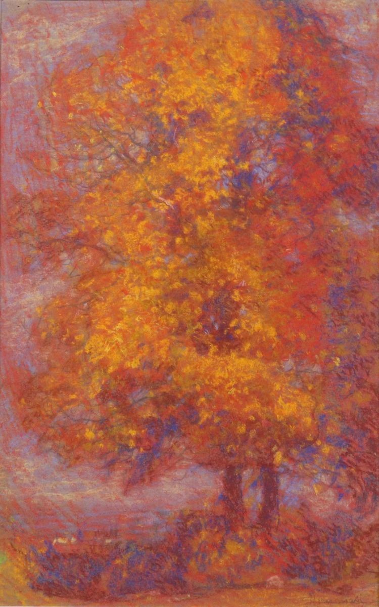 Ludovico Tommasi - Cinque Disegni