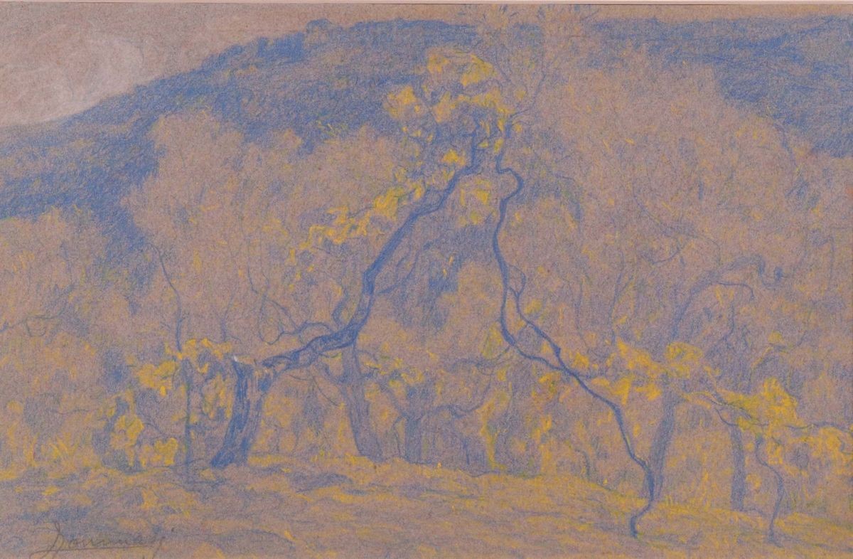 Ludovico Tommasi - Cinque Disegni