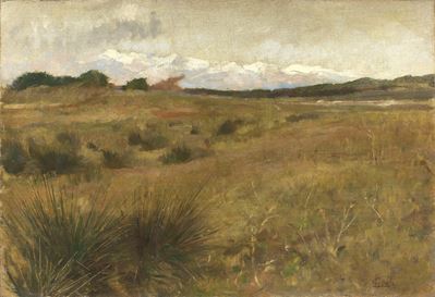 Campagna Pisana