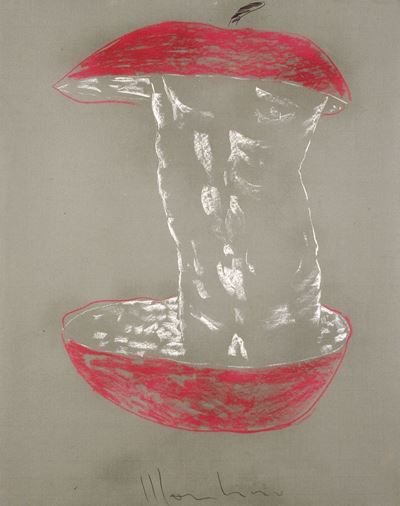 Torso
