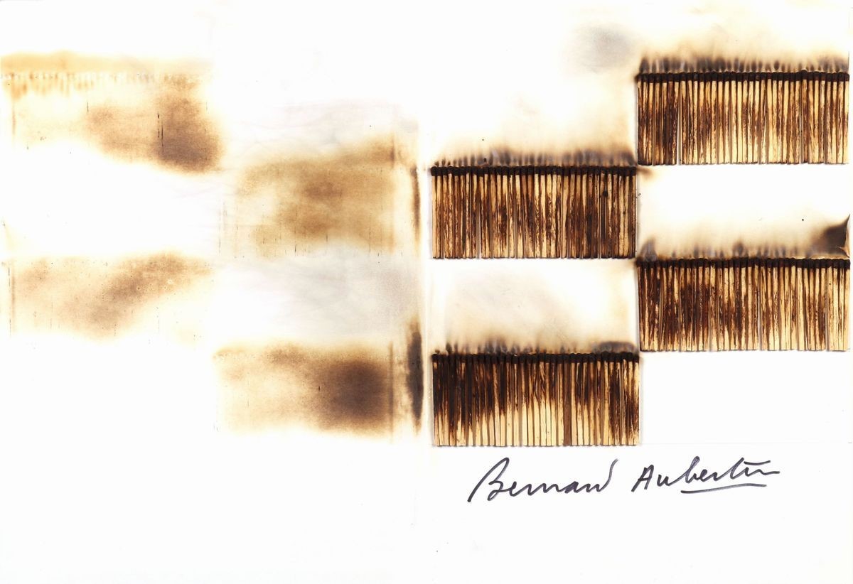Bernard Aubertin - Livre brûLé Rosenberg