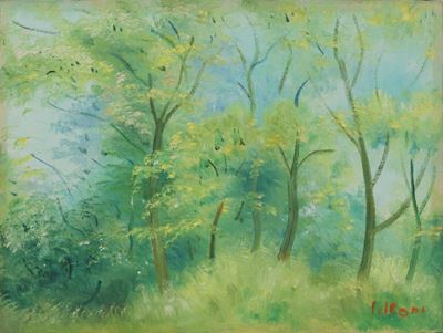 Bosco a Primavera