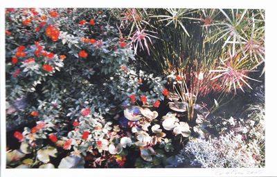 Il Giardino Segreto
