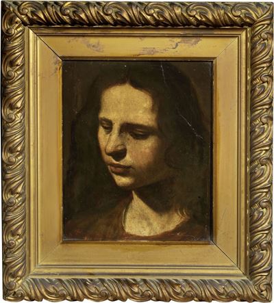 Testa di Giovane