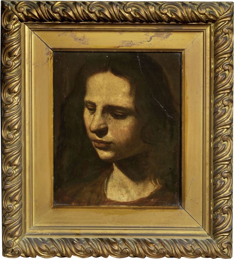 Scuola Napoletana del XVII Secolo - Testa di Giovane