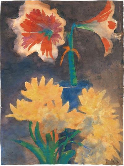 Rotweiße Amaryllis Und Gelbe Blüten