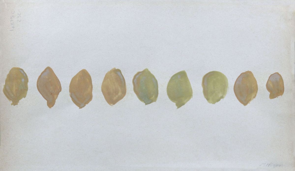 Mario Nigro - Due Opere