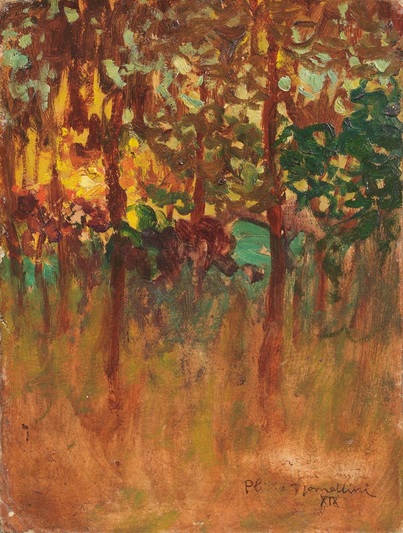 Plinio Nomellini - Piccolo Bosco
