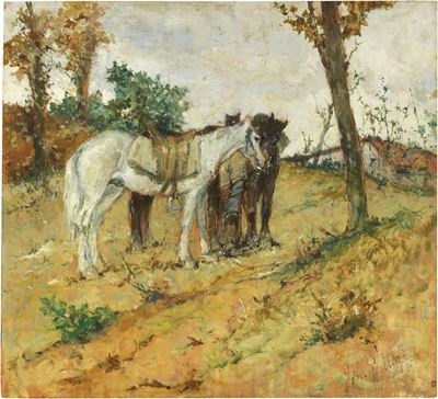 Sosta di Vedette