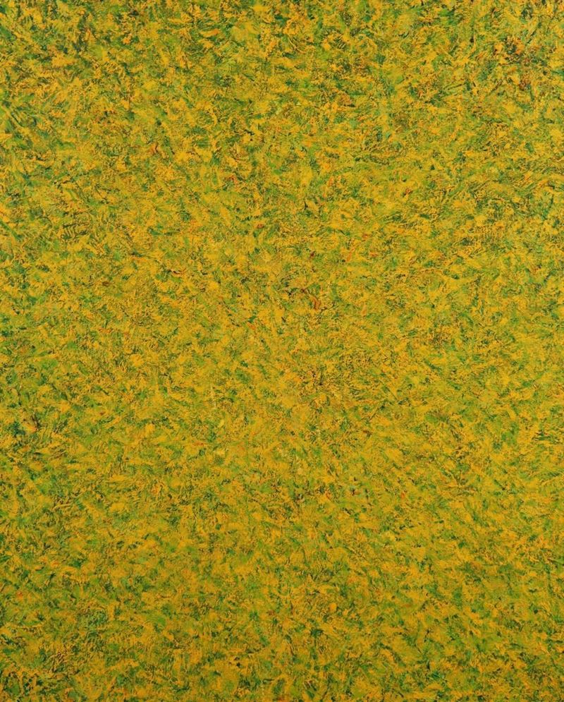 Bruno Pulga - Pittura