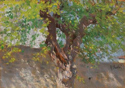 Albero