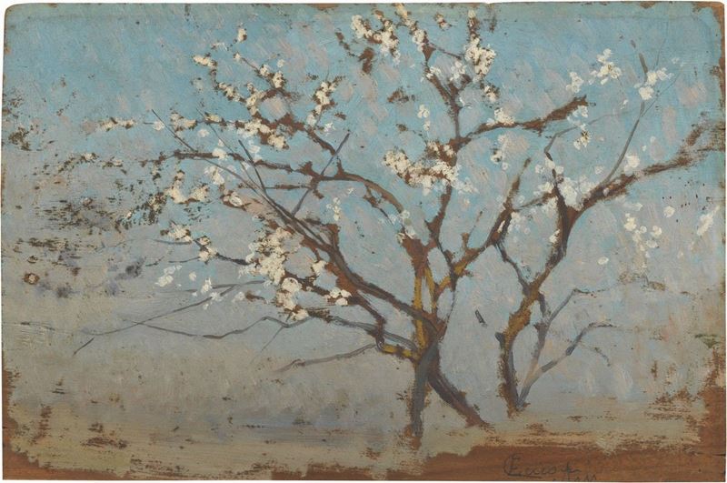 Eugenio Cecconi - Albero di Ciliegio