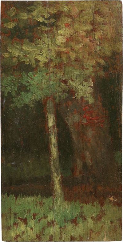 Studio di Bosco