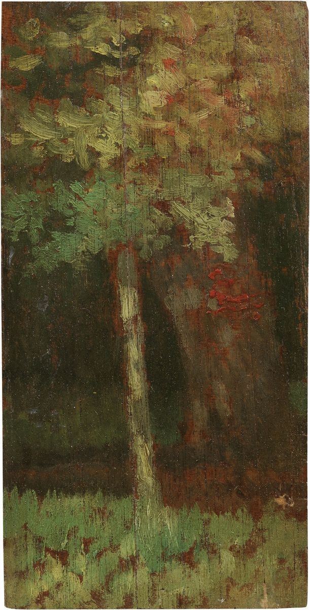 Giovanni Fattori - Studio di Bosco