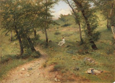 Sosta nel Bosco