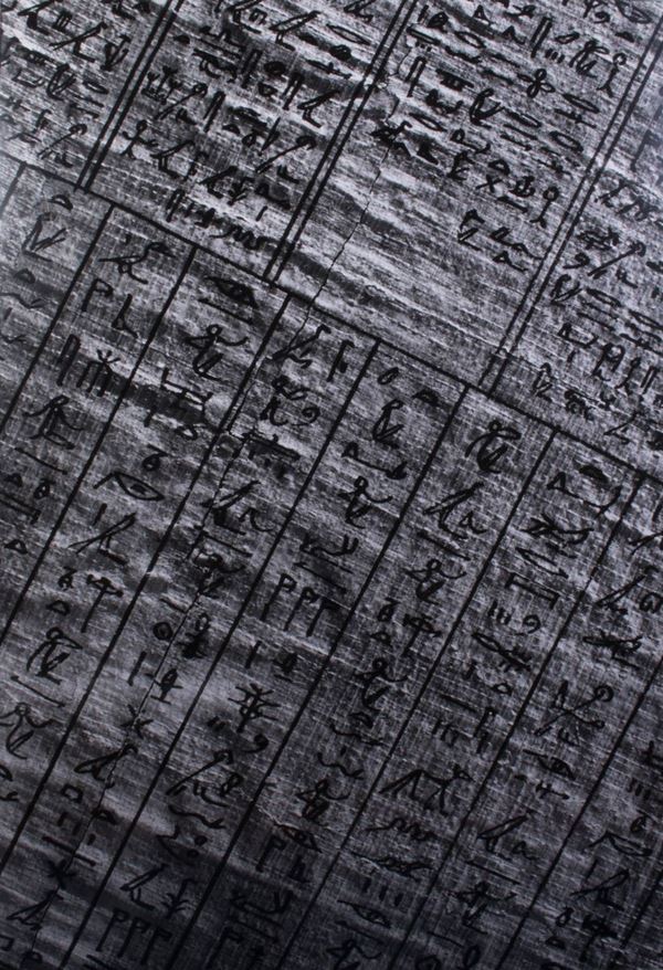 Pino Musi - Libro XXIX (Libro dei Morti. Tebe, Egitto, I secolo a.C.)